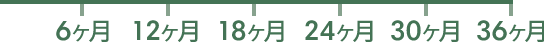 6ヶ月 12ヶ月 18ヶ月 24ヶ月 30ヶ月 36ヶ月
